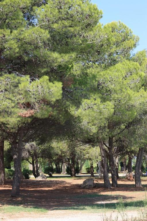 Casa Mireia I Paula Villa ริวมาร์ ภายนอก รูปภาพ